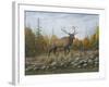 Autumn Elk-Robert Wavra-Framed Giclee Print