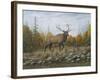 Autumn Elk-Robert Wavra-Framed Giclee Print