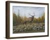 Autumn Elk-Robert Wavra-Framed Giclee Print