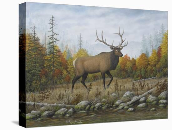 Autumn Elk-Robert Wavra-Stretched Canvas