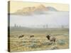 Autumn Elk-Michael Budden-Stretched Canvas