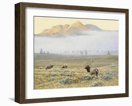 Autumn Elk-Michael Budden-Framed Giclee Print