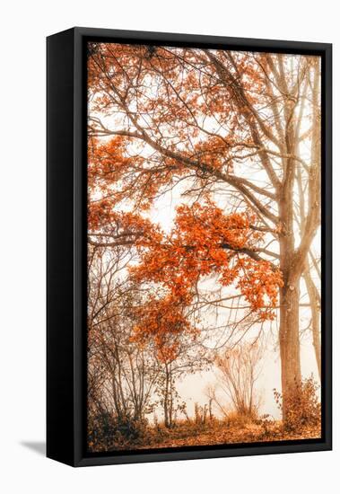 Autumn Emotion-Philippe Saint-Laudy-Framed Stretched Canvas