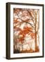 Autumn Emotion-Philippe Saint-Laudy-Framed Photographic Print