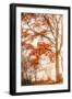 Autumn Emotion-Philippe Saint-Laudy-Framed Photographic Print