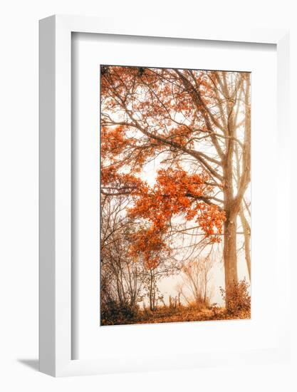 Autumn Emotion-Philippe Saint-Laudy-Framed Photographic Print