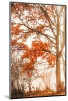 Autumn Emotion-Philippe Saint-Laudy-Mounted Photographic Print