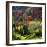 Autumn Erupting-Philippe Sainte-Laudy-Framed Photographic Print