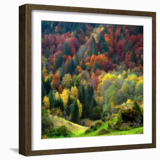 Autumn Erupting-Philippe Sainte-Laudy-Framed Photographic Print