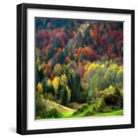 Autumn Erupting-Philippe Sainte-Laudy-Framed Photographic Print