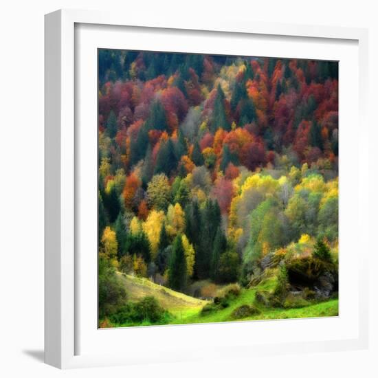 Autumn Erupting-Philippe Sainte-Laudy-Framed Photographic Print