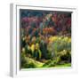 Autumn Erupting-Philippe Sainte-Laudy-Framed Photographic Print