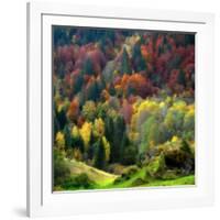 Autumn Erupting-Philippe Sainte-Laudy-Framed Photographic Print