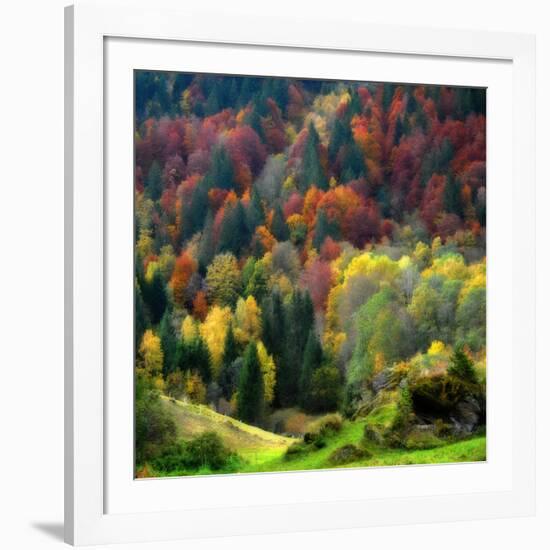 Autumn Erupting-Philippe Sainte-Laudy-Framed Photographic Print