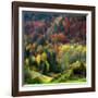 Autumn Erupting-Philippe Sainte-Laudy-Framed Photographic Print