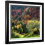 Autumn Erupting-Philippe Sainte-Laudy-Framed Photographic Print