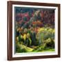 Autumn Erupting-Philippe Sainte-Laudy-Framed Photographic Print