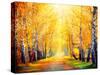 Autumn. Fall. Autumnal Park. Autumn Trees and Leaves in Sun Rays. Beautiful Autumn Scene-Subbotina Anna-Stretched Canvas