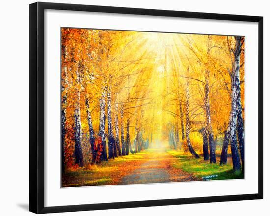 Autumn. Fall. Autumnal Park. Autumn Trees and Leaves in Sun Rays. Beautiful Autumn Scene-Subbotina Anna-Framed Premium Photographic Print