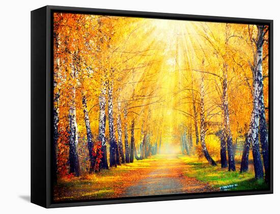 Autumn. Fall. Autumnal Park. Autumn Trees and Leaves in Sun Rays. Beautiful Autumn Scene-Subbotina Anna-Framed Stretched Canvas