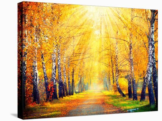 Autumn. Fall. Autumnal Park. Autumn Trees and Leaves in Sun Rays. Beautiful Autumn Scene-Subbotina Anna-Stretched Canvas