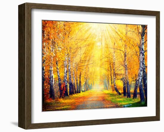 Autumn. Fall. Autumnal Park. Autumn Trees and Leaves in Sun Rays. Beautiful Autumn Scene-Subbotina Anna-Framed Photographic Print