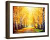 Autumn. Fall. Autumnal Park. Autumn Trees and Leaves in Sun Rays. Beautiful Autumn Scene-Subbotina Anna-Framed Photographic Print