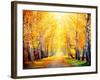 Autumn. Fall. Autumnal Park. Autumn Trees and Leaves in Sun Rays. Beautiful Autumn Scene-Subbotina Anna-Framed Photographic Print