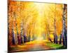 Autumn. Fall. Autumnal Park. Autumn Trees and Leaves in Sun Rays. Beautiful Autumn Scene-Subbotina Anna-Mounted Photographic Print