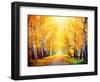 Autumn. Fall. Autumnal Park. Autumn Trees and Leaves in Sun Rays. Beautiful Autumn Scene-Subbotina Anna-Framed Photographic Print