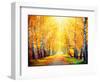 Autumn. Fall. Autumnal Park. Autumn Trees and Leaves in Sun Rays. Beautiful Autumn Scene-Subbotina Anna-Framed Photographic Print