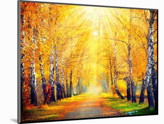 Autumn. Fall. Autumnal Park. Autumn Trees and Leaves in Sun Rays. Beautiful Autumn Scene-Subbotina Anna-Mounted Photographic Print