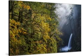 Autumn Fall Color and Sun-Streaked Mist at Metlako Falls on Eagle Creek in the Columbia Gorge-Gary Luhm-Stretched Canvas