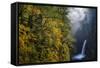 Autumn Fall Color and Sun-Streaked Mist at Metlako Falls on Eagle Creek in the Columbia Gorge-Gary Luhm-Framed Stretched Canvas