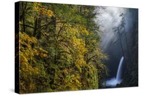 Autumn Fall Color and Sun-Streaked Mist at Metlako Falls on Eagle Creek in the Columbia Gorge-Gary Luhm-Stretched Canvas