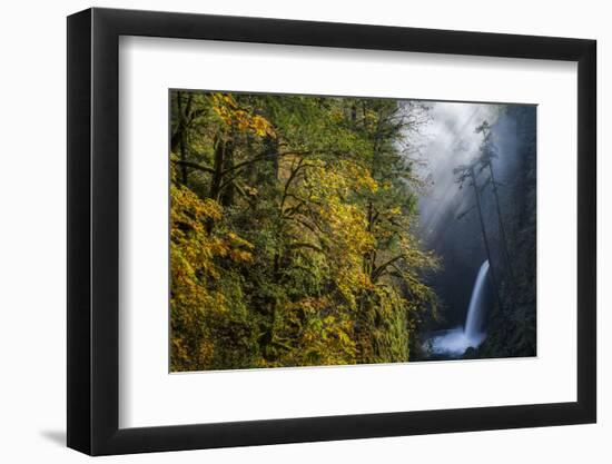 Autumn Fall Color and Sun-Streaked Mist at Metlako Falls on Eagle Creek in the Columbia Gorge-Gary Luhm-Framed Photographic Print