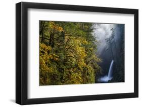 Autumn Fall Color and Sun-Streaked Mist at Metlako Falls on Eagle Creek in the Columbia Gorge-Gary Luhm-Framed Photographic Print