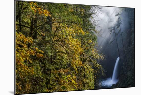 Autumn Fall Color and Sun-Streaked Mist at Metlako Falls on Eagle Creek in the Columbia Gorge-Gary Luhm-Mounted Photographic Print