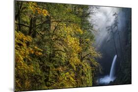 Autumn Fall Color and Sun-Streaked Mist at Metlako Falls on Eagle Creek in the Columbia Gorge-Gary Luhm-Mounted Photographic Print