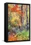 Autumn Fall Color Dream, Acadia National Park-Vincent James-Framed Stretched Canvas
