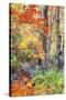 Autumn Fall Color Dream, Acadia National Park-Vincent James-Stretched Canvas
