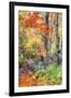Autumn Fall Color Dream, Acadia National Park-Vincent James-Framed Premium Photographic Print