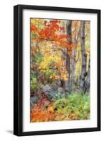 Autumn Fall Color Dream, Acadia National Park-Vincent James-Framed Photographic Print