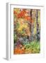 Autumn Fall Color Dream, Acadia National Park-Vincent James-Framed Photographic Print