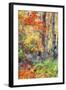 Autumn Fall Color Dream, Acadia National Park-Vincent James-Framed Photographic Print