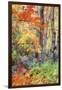 Autumn Fall Color Dream, Acadia National Park-Vincent James-Framed Photographic Print