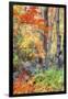 Autumn Fall Color Dream, Acadia National Park-Vincent James-Framed Photographic Print