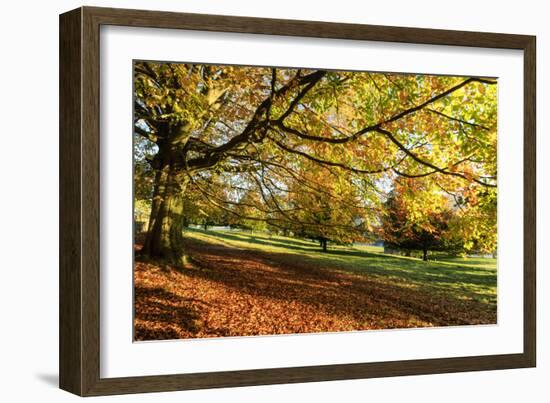 Autumn (fall) colours, Chatsworth Park, stately home of the Duke of Devonshire, Chesterfield, Derby-Eleanor Scriven-Framed Photographic Print