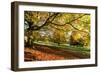 Autumn (fall) colours, Chatsworth Park, stately home of the Duke of Devonshire, Chesterfield, Derby-Eleanor Scriven-Framed Photographic Print