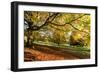 Autumn (fall) colours, Chatsworth Park, stately home of the Duke of Devonshire, Chesterfield, Derby-Eleanor Scriven-Framed Photographic Print